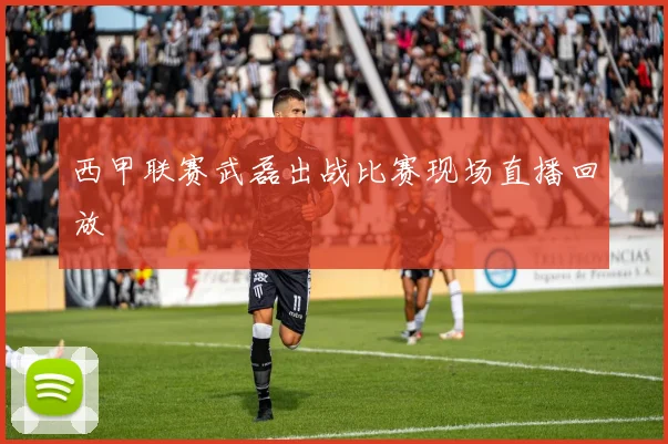西甲联赛武磊出战比赛现场直播回放